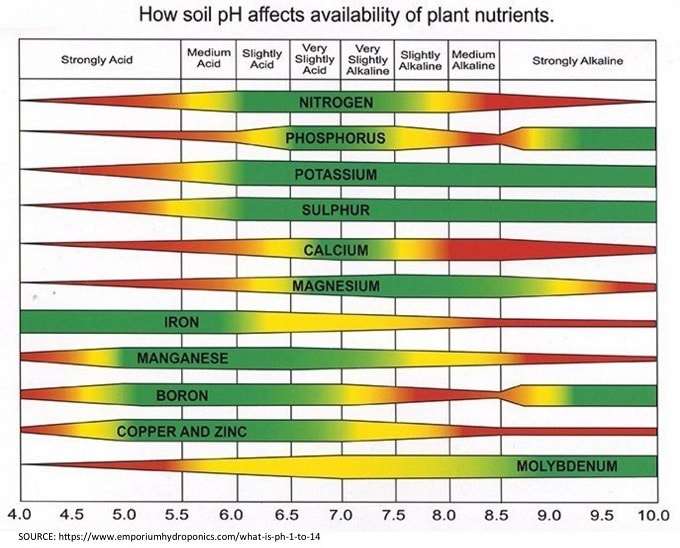 Soil Acidity and Minerals