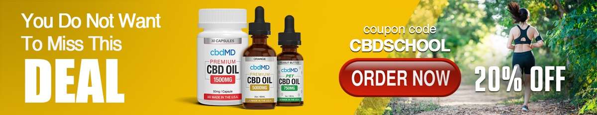 Holiday Hangover? CBD Could Be Just What You Need