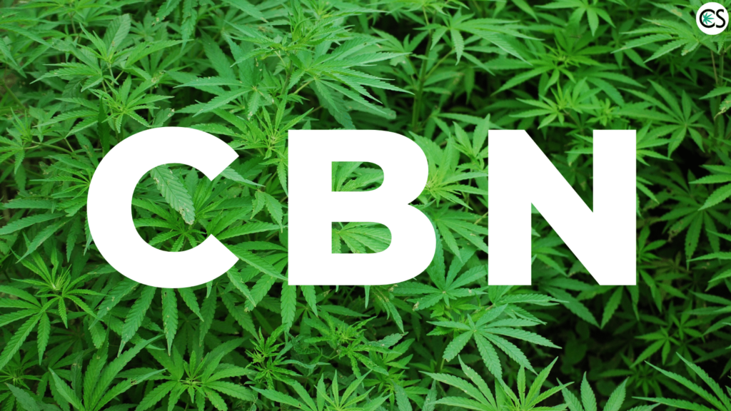 What is CBN? (This Cannabinoid Might Be The Next Big Thing) | CBD School