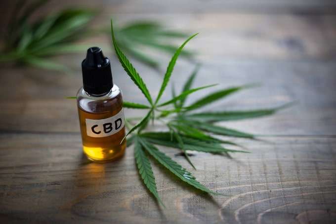 Cannabis CBD Oil