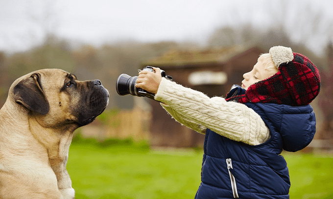 monitoring your dogs