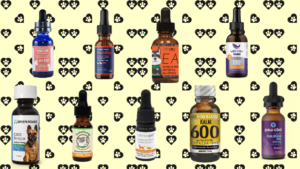 the best cbd oil for dogs